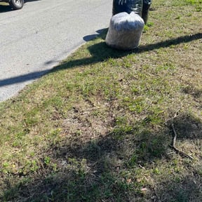 Leaf Removal by Betterment Landscaping Llc reviewed on September 15, 2025