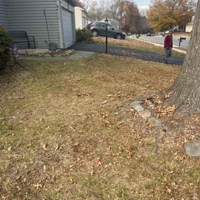 Leaf Removal by Verde Lawn and Property Management reviewed on October 18, 2025