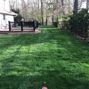 residential landscaping by Pristine reviewed on August 16, 2025
