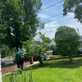 Bush Trimming by Luke's landscaping and hardscaping LLC reviewed on August 16, 2025
