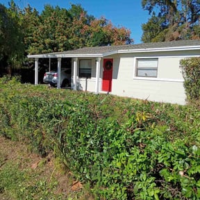 Bush Trimming by XPRESS LAWN CARE reviewed on December 15, 2025