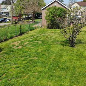 Bush Trimming by Green T's Lawn & Landscape reviewed on August 15, 2025