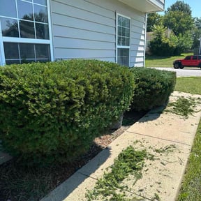 Bush Trimming by S&amp;S Lawn Care reviewed on December 16, 2025