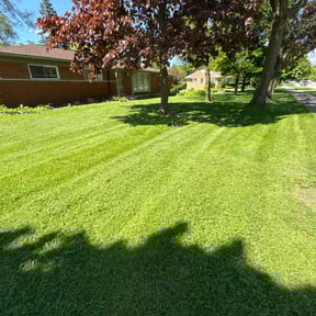 turf maintenance by Johnny Ds Lawn Service reviewed on September 27, 2024