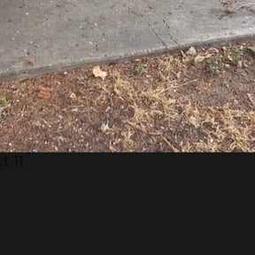 Flower Bed Weeding by Sunrise Lawn Care LLC reviewed on August 21, 2025