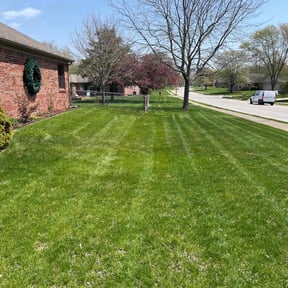 landscaping by IM Landscape And LawnCare Services reviewed on August 21, 2025