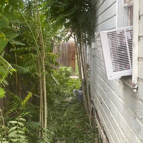 Bush Trimming by Quick Cuts Lawn Care reviewed on August 18, 2025