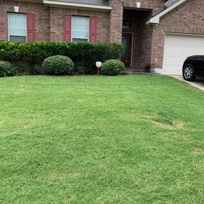 Bush Trimming by DMX Lawn & Landscape reviewed on August 18, 2025