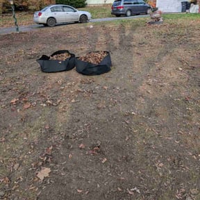 Leaf Removal by ZKZ Landscape &amp; Design reviewed on November 22, 2025