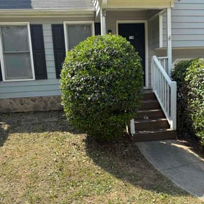 Bush Trimming by Gp n Sp lawn care and more reviewed on April 25, 2026