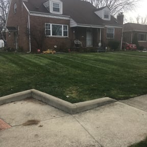 Leaf Removal by G.I.F.T.D reviewed on September 9, 2025