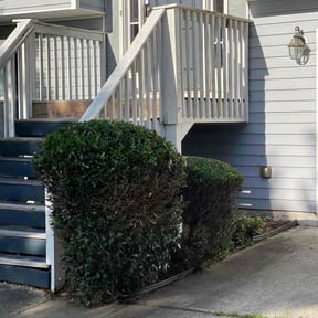 Bush Trimming by Sal's lawn service reviewed on August 15, 2025
