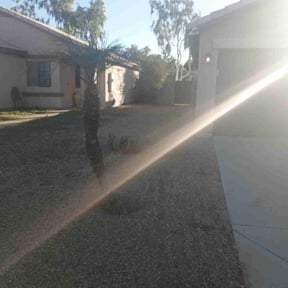 Bush Trimming by ShayShay&#039;s lawn care reviewed on November 19, 2025