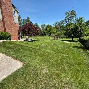 yard work by Feliciano matos reviewed on January 5, 2026