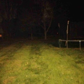 Leaf Removal by Texas Trills  Lawn Service reviewed on November 19, 2025