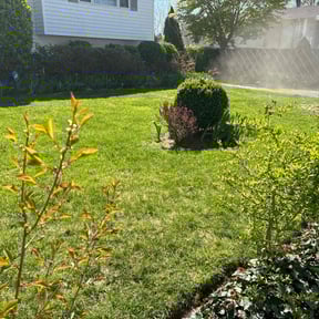 landscape maintenance by Exquisite Lawn & Grounds reviewed on August 18, 2025