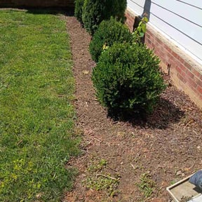 Flower Bed Weeding by Panhandle Turf Solutions reviewed on June 5, 2026