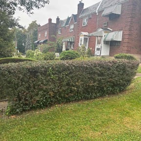 lawn service by John Hernandez reviewed on April 1, 2025