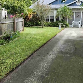 Long Grass Cleanup by Robby's Landscaping reviewed on August 19, 2025