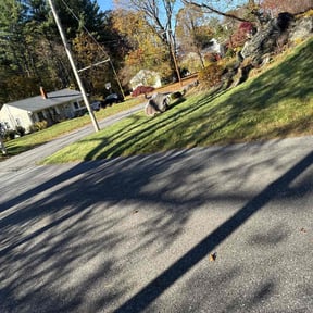 Leaf Removal by Greenside lawncare reviewed on November 8, 2025