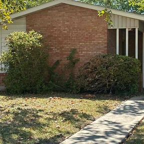 Bush Trimming by Dixon Mowing reviewed on October 20, 2025