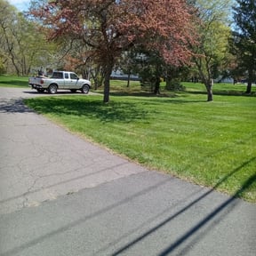 yard care by Brown's Property Services LLC reviewed on August 15, 2025