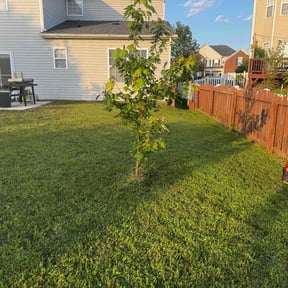 yard maintenance by Sunlight Property Services reviewed on December 18, 2025