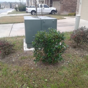Bush Trimming by Hernandezsnowremoval and landscaping services reviewed on August 20, 2025