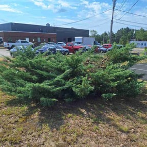 Bush Trimming by R&amp;L Regal Lawn Care reviewed on November 20, 2025