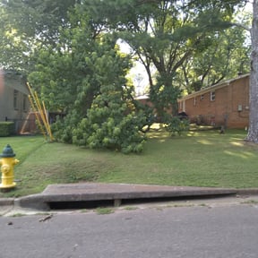 Leaf Removal by C&amp;R Services reviewed on September 27, 2025