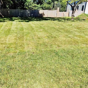 grass maintenance by Prizm Enterprise LLC reviewed on August 21, 2024