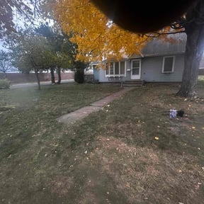 Leaf Removal by Grass gang reviewed on November 24, 2025