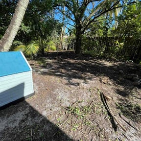 Leaf Removal by There&#039;s a Yard in There Somewhere, LLC. reviewed on October 3, 2025