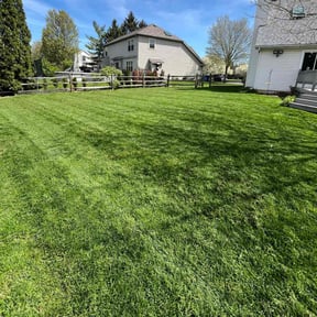 yard service by DT Property Preservation reviewed on August 20, 2025