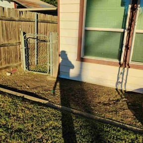 Flower Bed Weeding by Hudson Lawn Pro reviewed on October 20, 2025