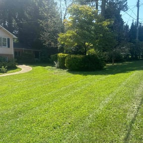 yard service by 5280 Lawns Llc reviewed on August 20, 2025