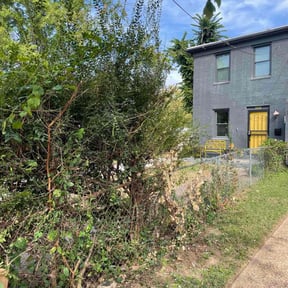 Bush Trimming by Luster Property Services &amp; Landscaping reviewed on October 19, 2025