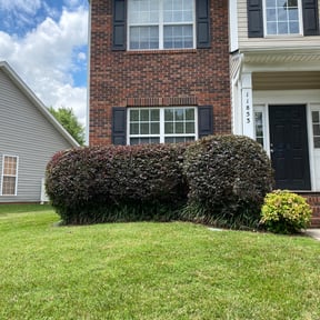 Bush Trimming by Braddy family holdings landscaping reviewed on August 20, 2025