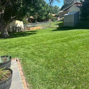 yard service by R & J Lawn Service Co. reviewed on August 15, 2025