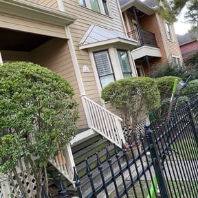 Bush Trimming by Charleston Green Team LLC. reviewed on August 19, 2025