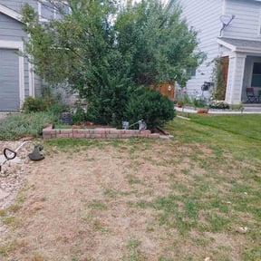 Leaf Removal by Picture perfect lawns reviewed on September 9, 2025