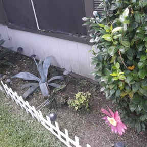 Flower Bed Weeding by Emerald Green Lawn Service reviewed on August 17, 2025