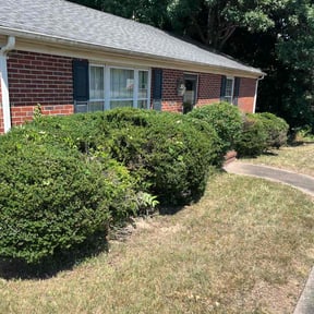 Bush Trimming by Dan&#039;s Lawn &amp; Landscaping reviewed on November 26, 2025