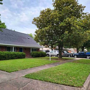 Long Grass Cleanup by Frederickson Lawn Management reviewed on August 20, 2025