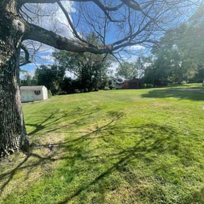 lawn maintenance by Álvarez Landscaping & Remodeling LLC reviewed on August 24, 2023