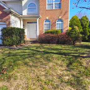 Bush Trimming by Felicianos Lawn Maintenance LLC reviewed on April 2, 2024