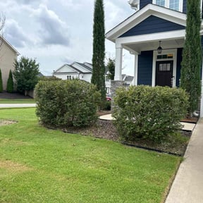 Bush Trimming by Tim's Mowing and More reviewed on August 18, 2025