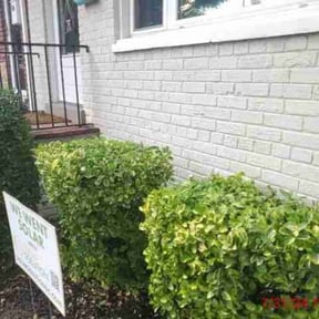 Bush Trimming by DTE Maintenance Llc reviewed on August 15, 2025