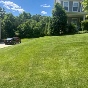 gardening service by Dannyβs Lawn Service reviewed on August 16, 2025