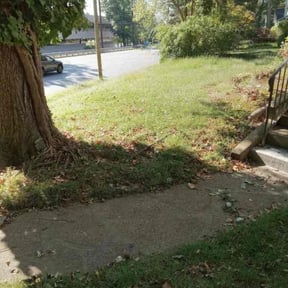 Bush Trimming by All Seasons Landscape & Hauling reviewed on August 21, 2025